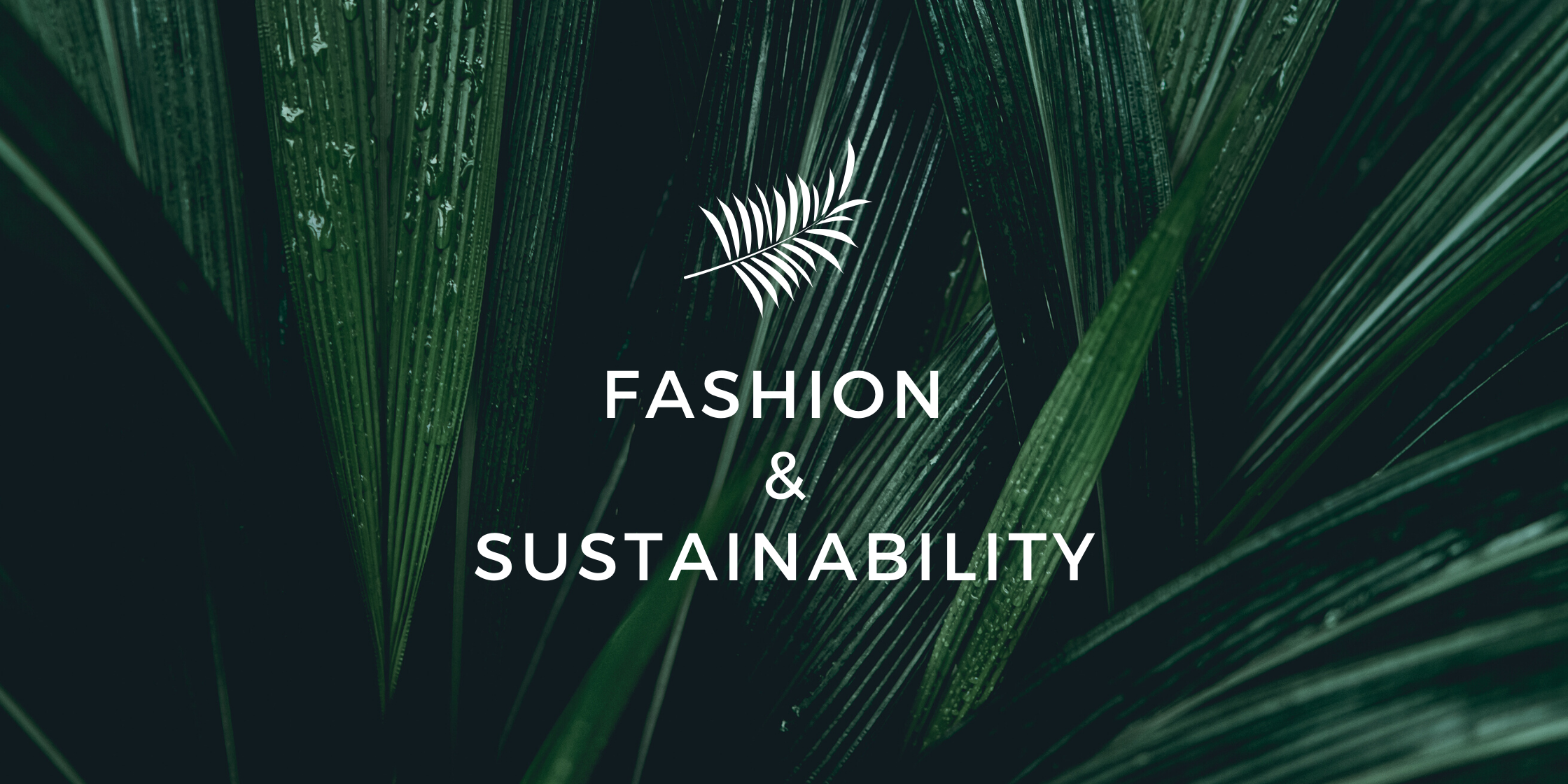 7 startups that make it possible to combine style & sustainability